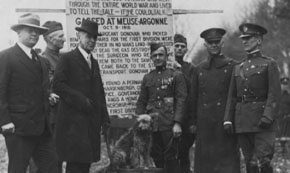 The Animals That Helped Win World War I