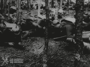 Animated gif of black and white film footage. Numerous men dressed in German military combat uniform crawl on their elbows through a forest.