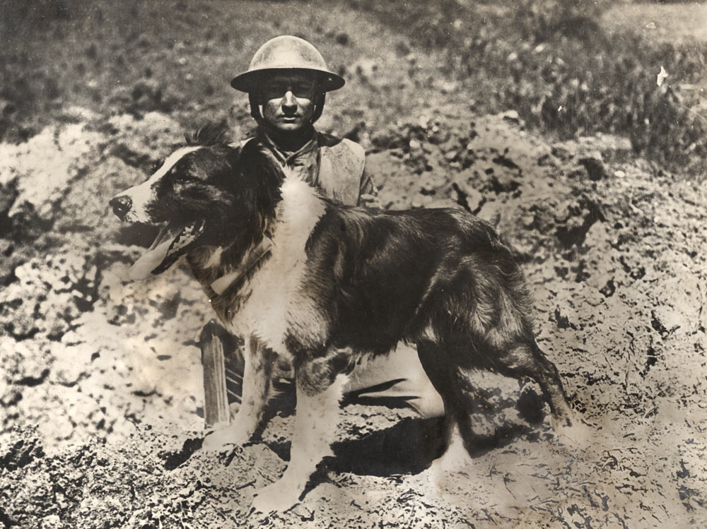 Black and white photo of a British soldier sitting outside in a muddy field. A medium-sized dog stands in front of him.