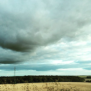 Modern photograph of a yellowing field with woods in the distance, under a cloudy sky.