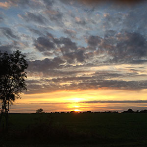 Modern photograph of a green field with woods in the background. The sun is setting.