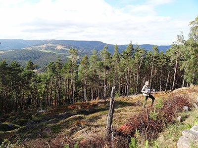 Modern photograph of a clearing in a wood on a sunny day, with a tourist trekking through the middle.