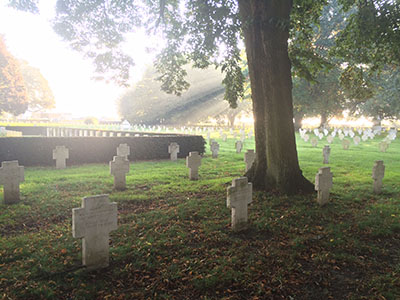Modern photograph of a cemetery. The cameraperson is standing under a tall deciduous tree. Around its base, and stretching into the distance, are white stone crosses in an older style.