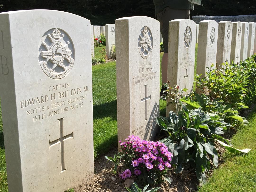 Rows of white rectangular gravestones adorned with flowers and shrubs.