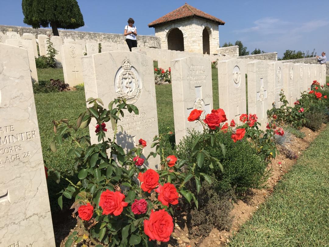 Rows of white rectangular gravestones adorned with red roses.