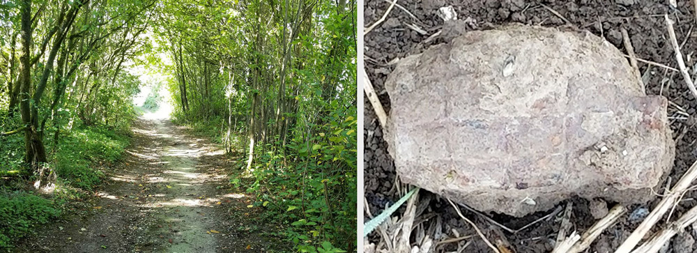Left photograph: dirt path through wooded area with the trees forming an arch above. Right photograph: A white stone-like object lying on dirt.