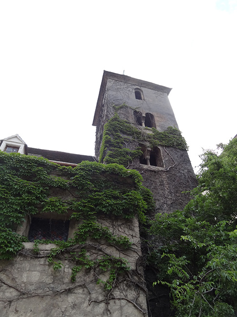 Bell tower and ivy-covered wall of a medieval church