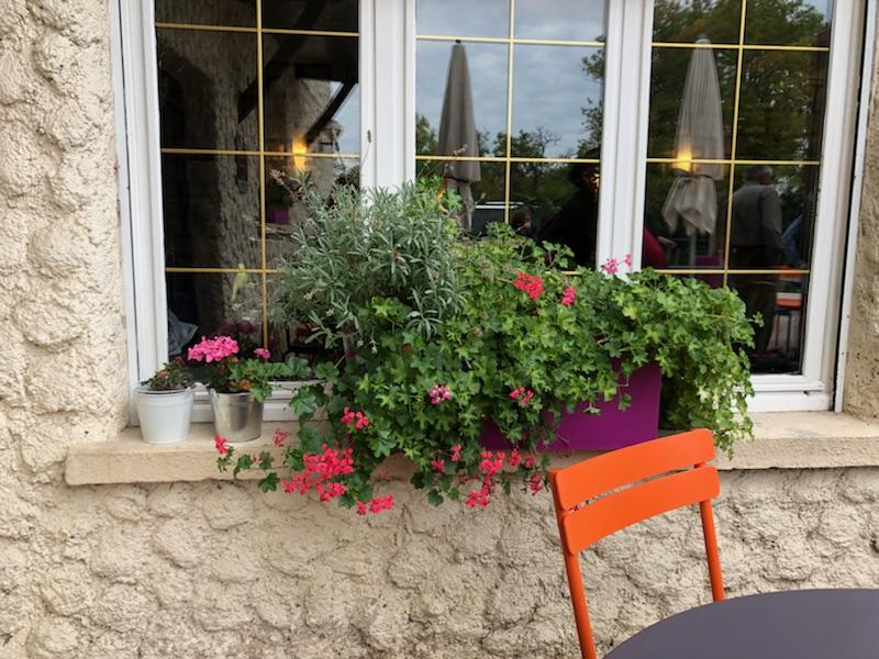 Bright flowerboxes in a window