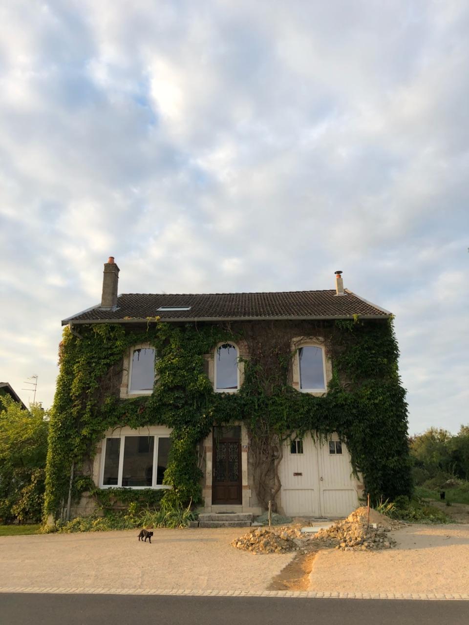 Ivy-covered brick house