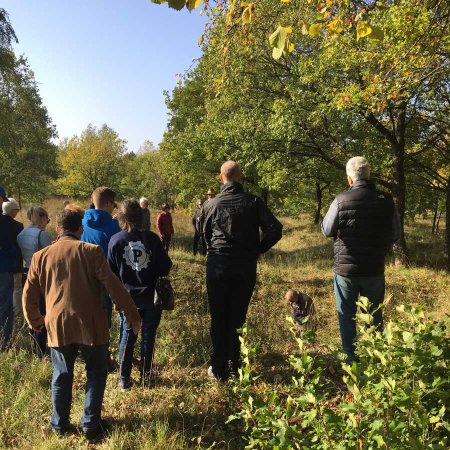 Tour group in a grassy clearing surrounded by trees