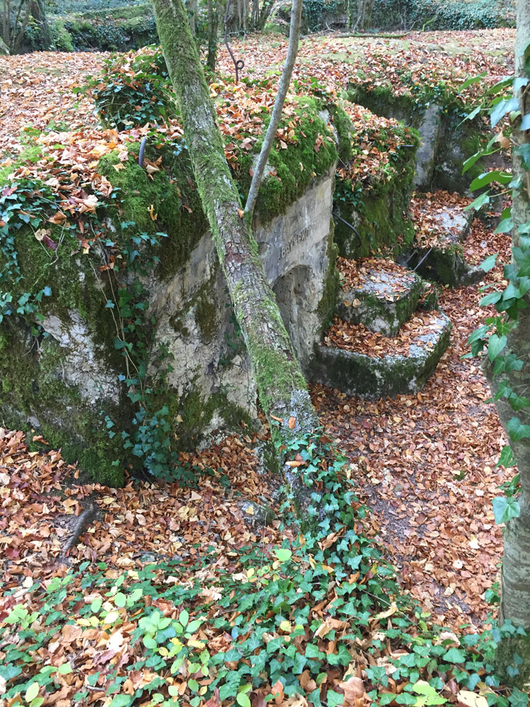 A trench-like area covered in leaves