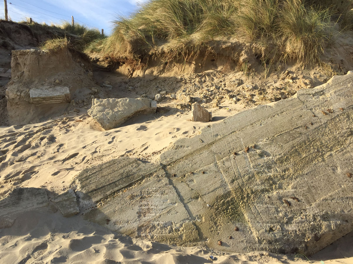 Beach leading up to grassy dunes