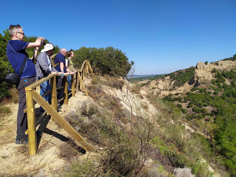 Group of people lined up at a railing on a hill overlooking a steep ravine.