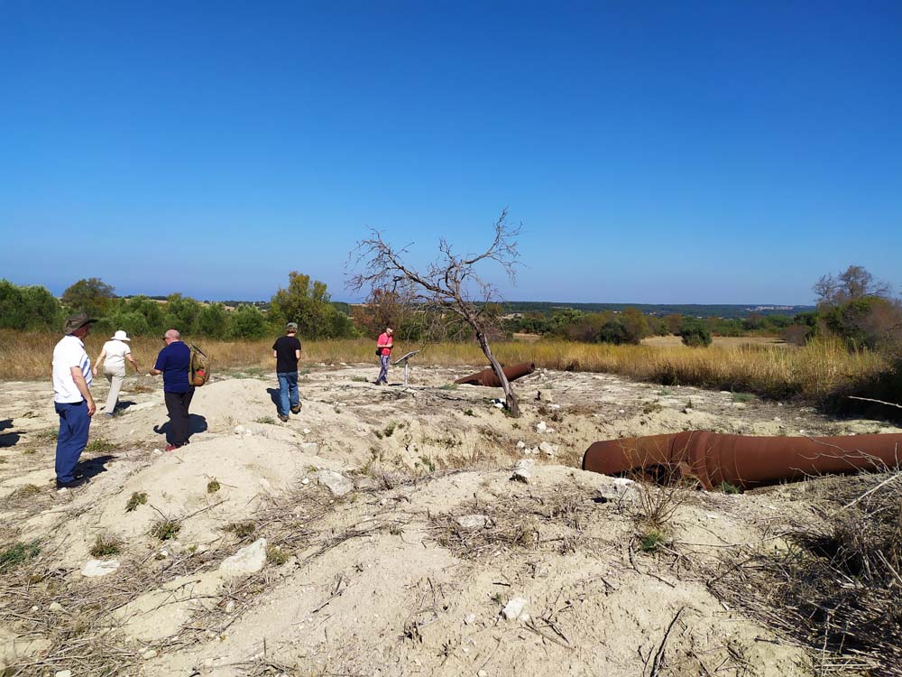 Group of people standing on some sandy mounds from which emerge several rusted artillery guns.