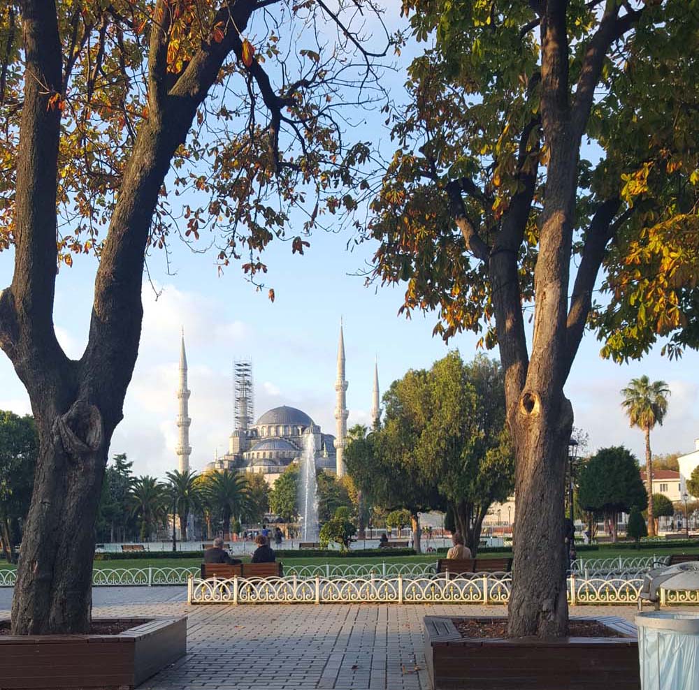 View of an ornate mosque through the trees in a park