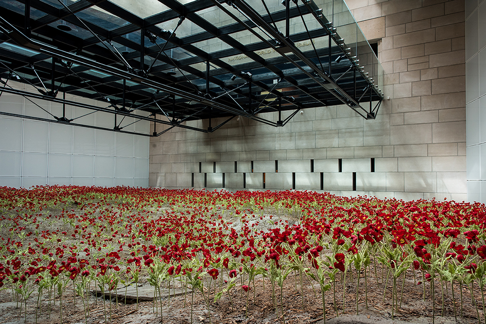 Modern photograph of the artificial poppy field under a glass bridge