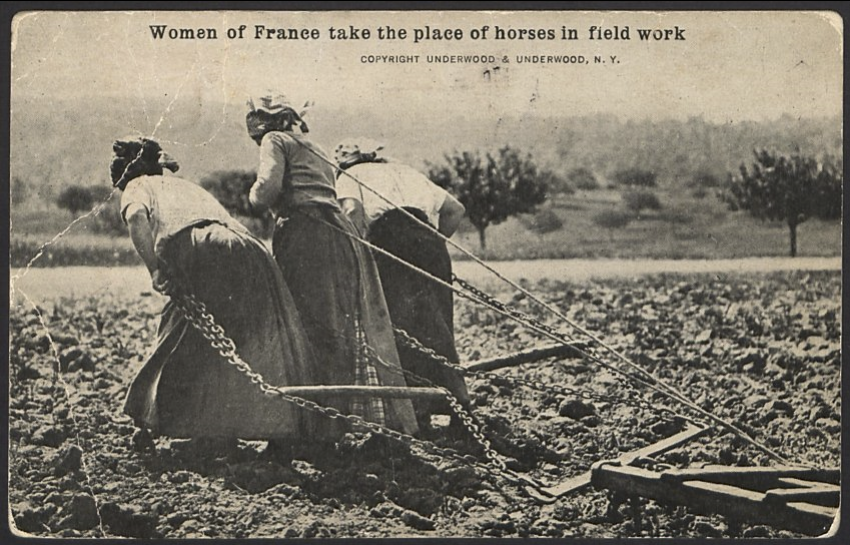 Scan of black and white postcard print of three women in skirts and kerchiefs on their heads pulling on a plow through a field.