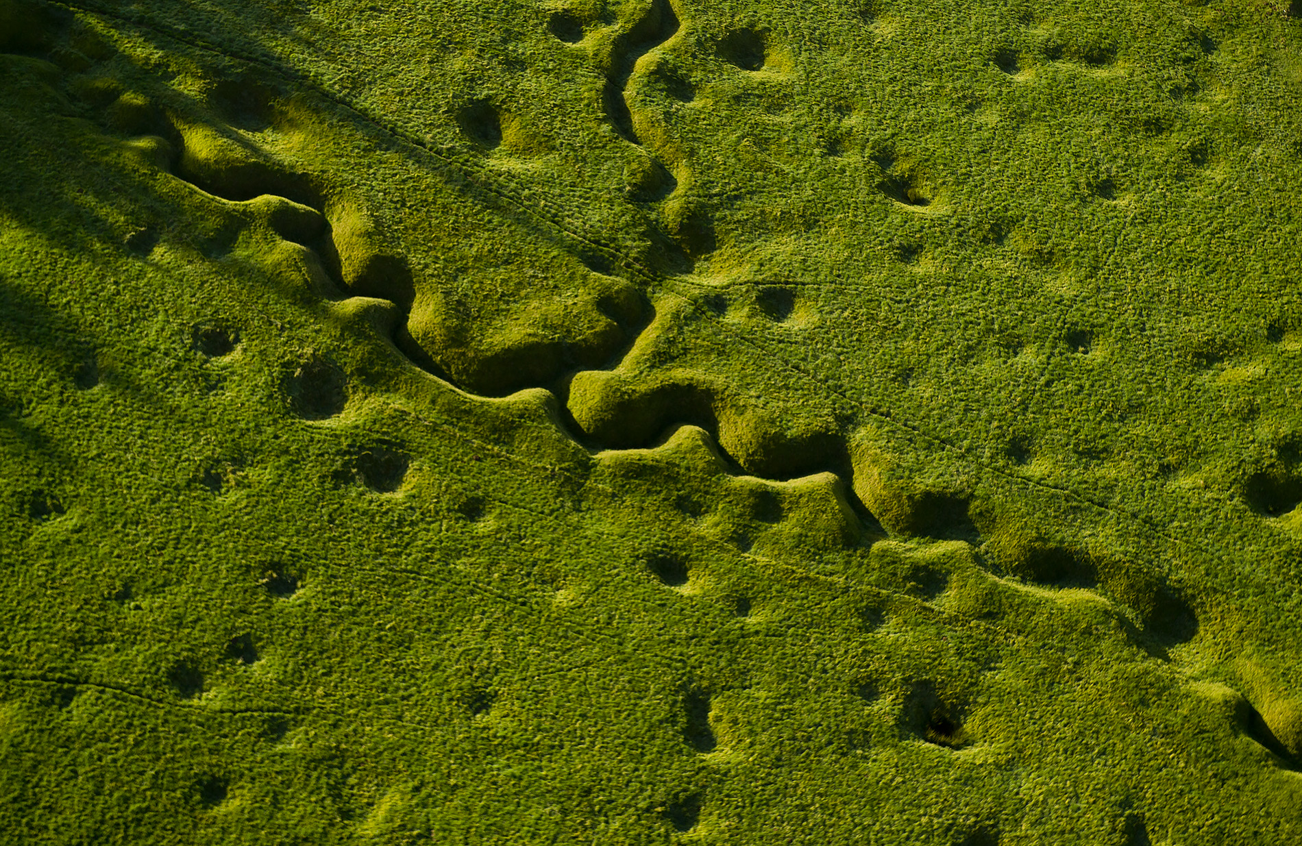 Modern aerial photograph of trenches carving through a green landscape
