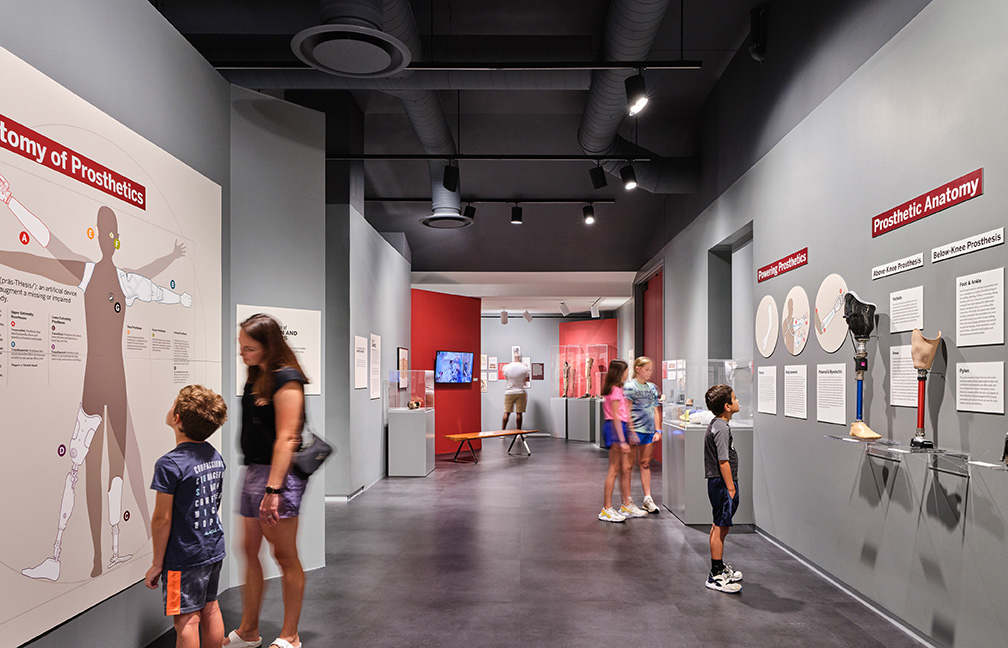 Museum gallery space with several guests perusing exhibits