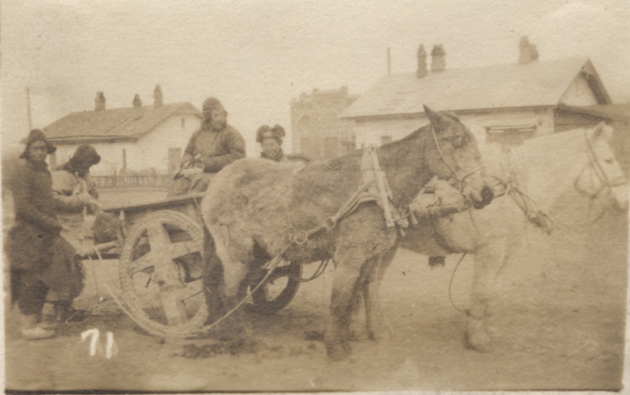 Black and white photo of four men dressed in thick layers of clothing. Two sit in a cart drawn by two horses while two walk beside the cart.