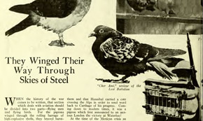From The American Legion Weekly - August 29, 1919: They Winged Their Way Through Skies of Steel From The American Legion Weekly - August 29, 1919: They Winged Their Way Through Skies of Steel