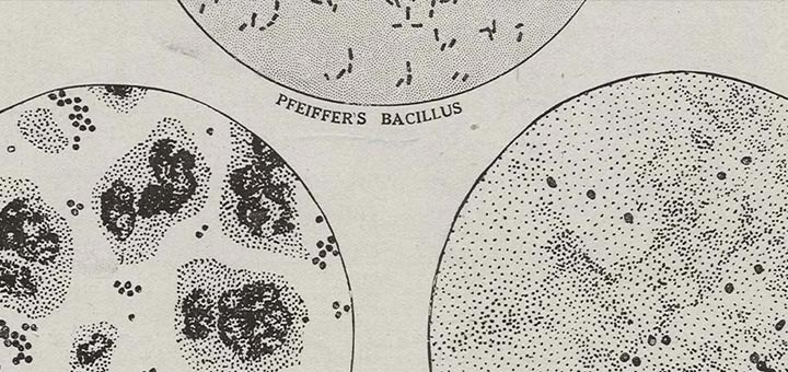 Pandemic Then and Now: Lessons from the 1918 Influenza Pandemic Then and Now: Lessons from the 1918 Influenza