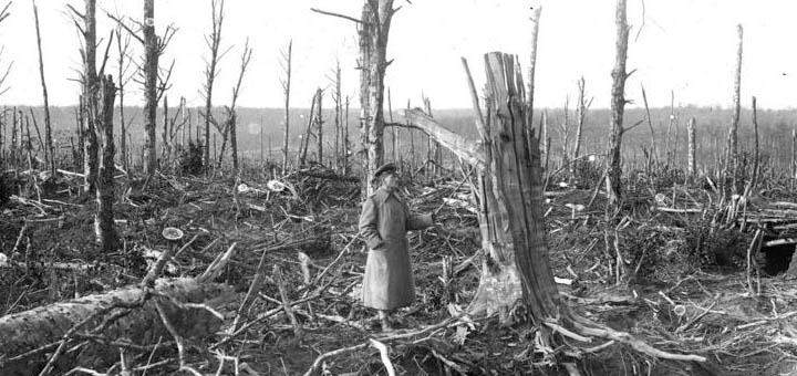 Destruction of the Ecosystem Destruction of the Ecosystem