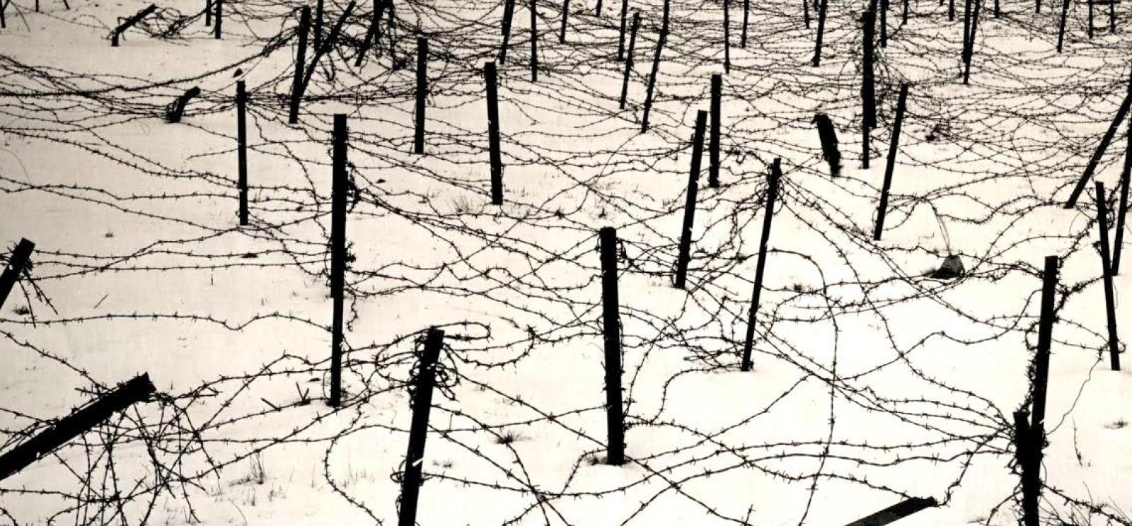 Black and white photograph of a snowy field covered in wooden stakes with barbed wire stretching between them in a spiky grid.
