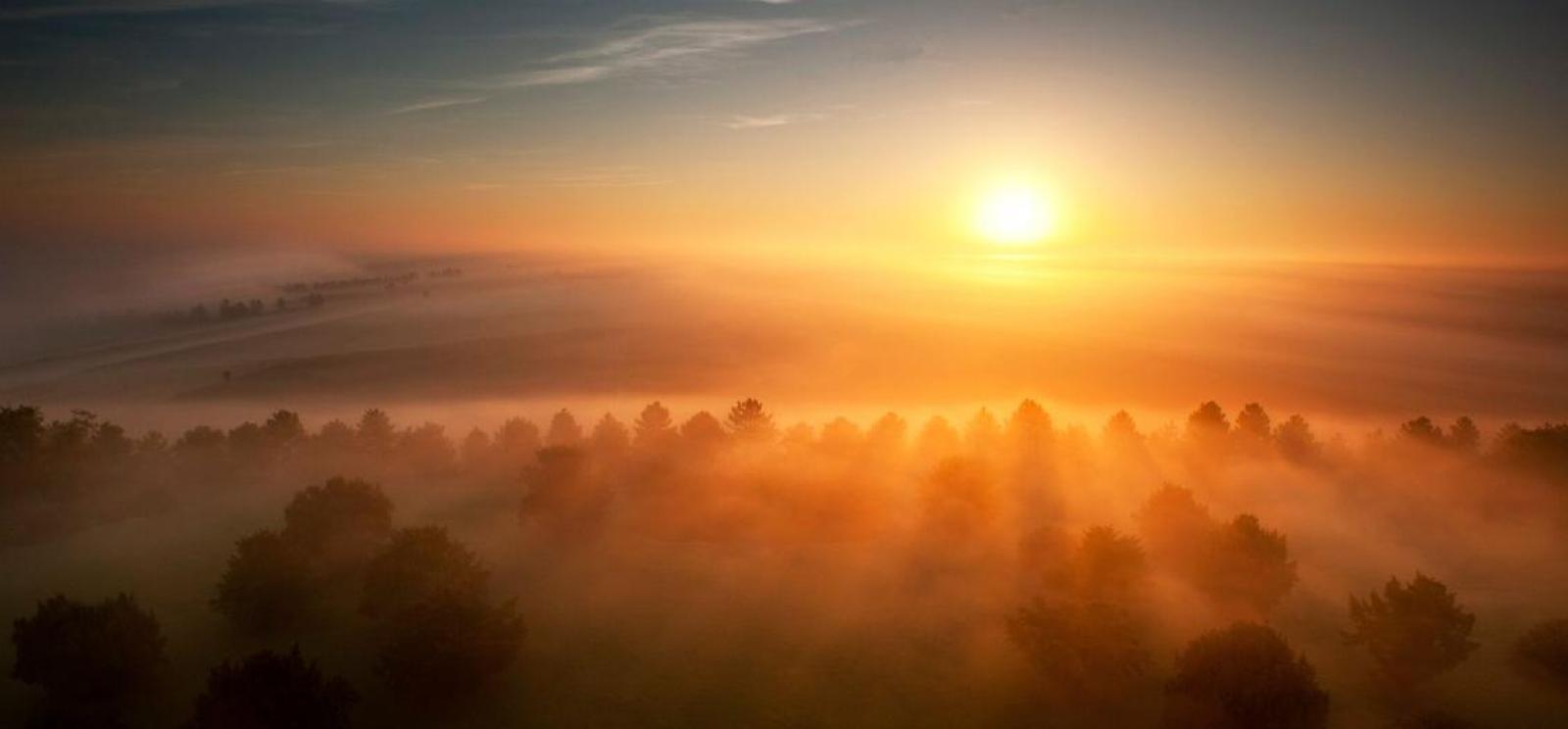 Photograph of a golden sunrise over a misty forest.