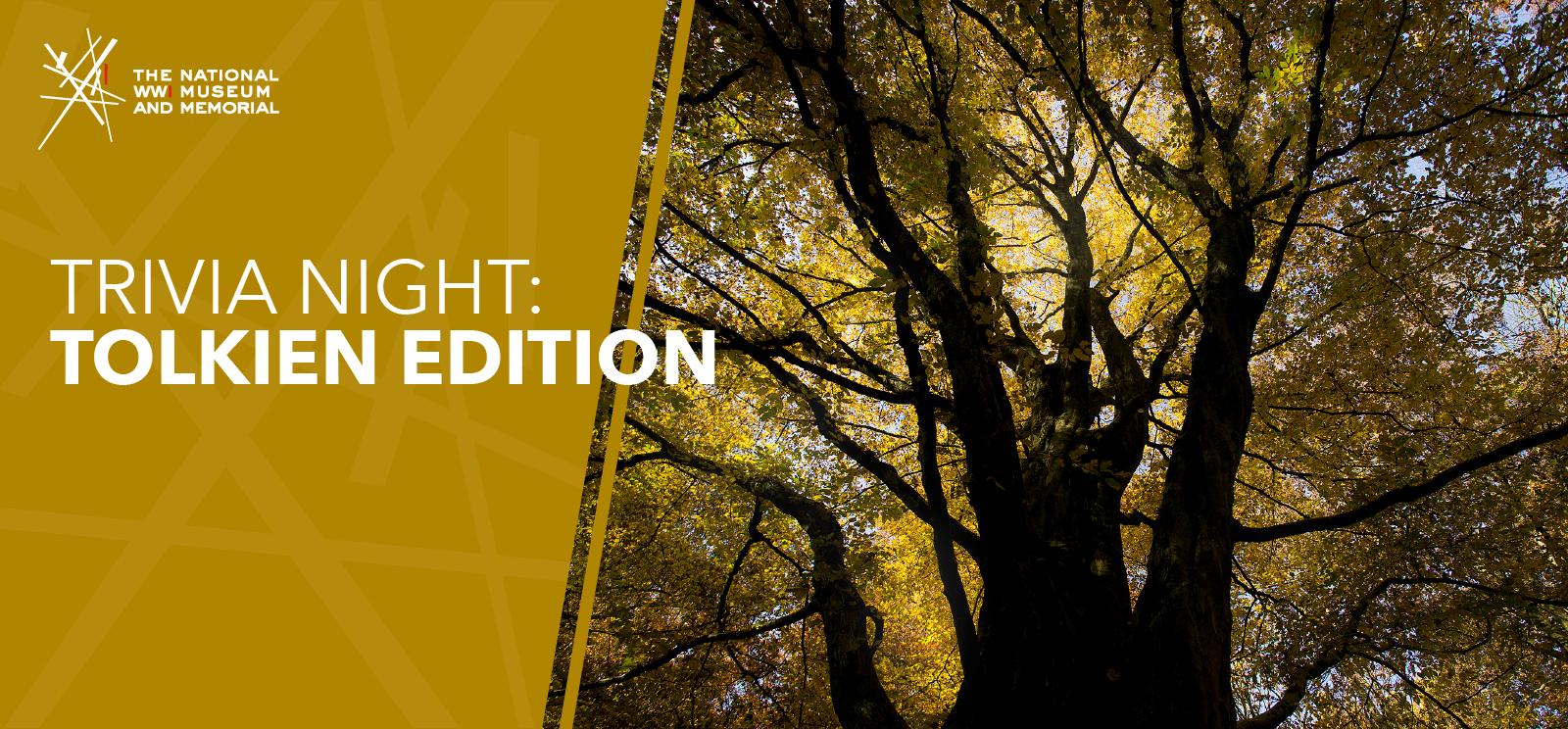 Modern photograph of a huge, scarred tree with sunlight filtering through the leaves casting a golden glow on the scene