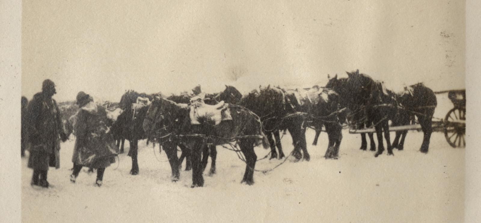 Photographie en noir et blanc de deux soldats vêtus de lourds manteaux d'hiver et d'une équipe de chevaux attelés à l'artillerie, le tout recouvert de neige