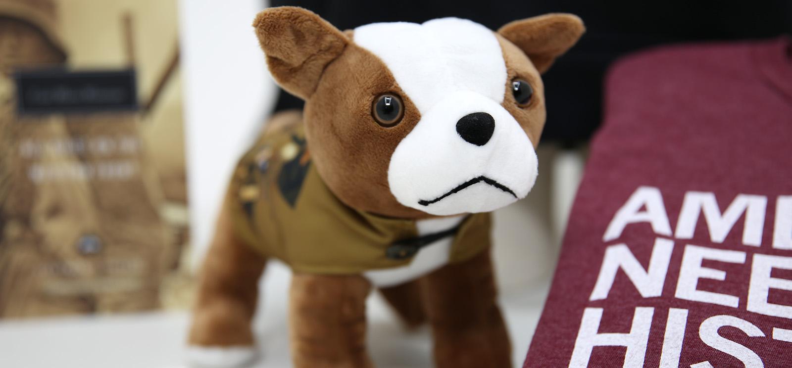 Modern photograph of a a dog plushie, a t-shirt, and a book