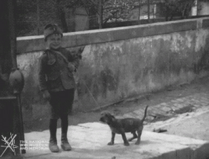 Animated gif of black and white film footage. A white child in miniature military uniform holding a puppy by the leash salutes the viewer.