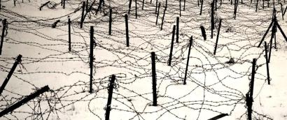 Black and white photograph of a snowy field covered in wooden stakes with barbed wire stretching between them in a spiky grid.