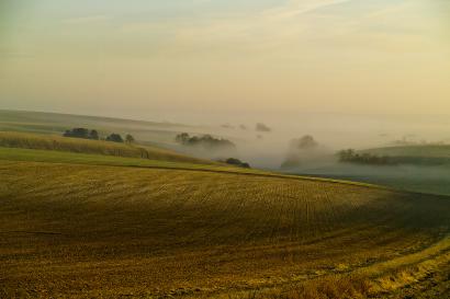 Modern photograph of gold and green fields on a misty morning