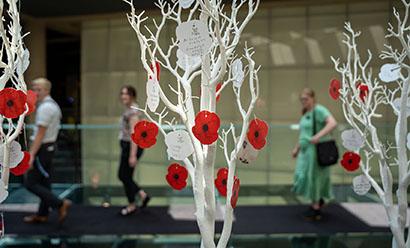 Modern photograph of three small artificial trees painted white, with red paper poppies hung on their branches. Some of the poppies have writing on their backs. In the background, people walk by on the Glass Bridge.